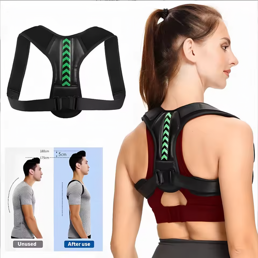 Back Absorber Pad